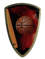 Puchar 7243 koszykówka z motywem piłki – nagroda na turnieje koszykarskie, zawody szkolne i rozgrywki ligowe. Dobry wybór dla drużyn i zawodników. Na podstawie znajduje się miejsce na tabliczkę z grawerem z nazwą turnieju, datą lub nazwiskiem zawodnika.