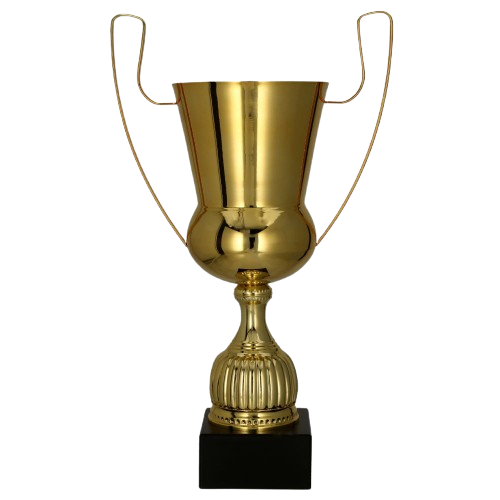 puchar_2091_złoty_trisport_tryumf.png