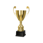puchar_4104_złoty_trisport_tryumf.png