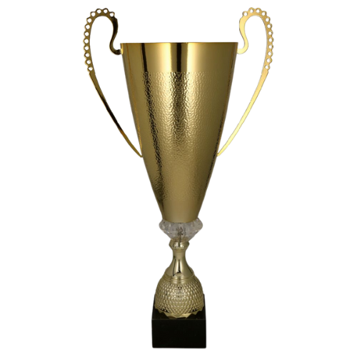 puchar_1076_złoty_trisport_tryumf.png