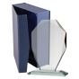 Statuetka szklana G007 z etui w komplecie to elegancka nagroda na jubileusze, gale i wyróżnienia. Szklana forma efektownie eksponuje personalizację, a etui podkreśla prestiż upominku.