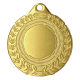 Złoty medal sportowy MMC0850/G – okrągły medal śr. 5 cm z miejscem na emblemat i wieńcem laurowym. Idealna nagroda na zawody sportowe, turnieje szkolne i klubowe.