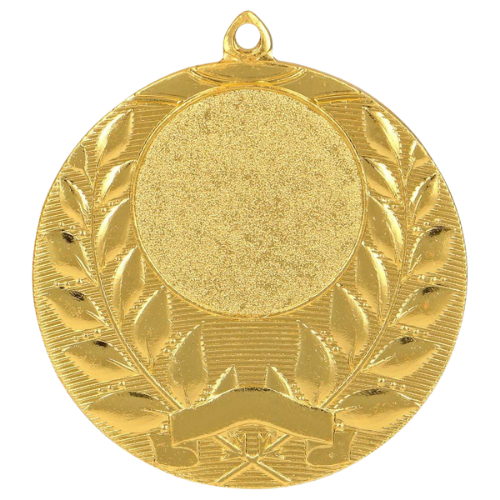 Złoty medal sportowy MMC1750/G – okrągły medal śr. 5 cm z miejscem na emblemat i wieńcem laurowym. Idealna nagroda na zawody sportowe, turnieje szkolne i klubowe.