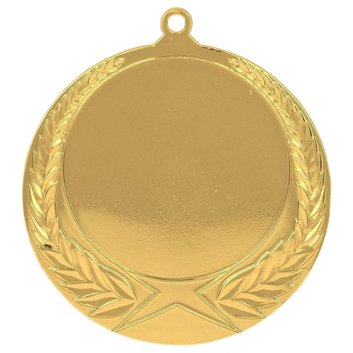 Złoty medal sportowy MMC1170/G – duży okrągły medal śr. 7 cm z miejscem na emblemat i wieńcem laurowym. Idealna nagroda na zawody sportowe, turnieje szkolne i klubowe.