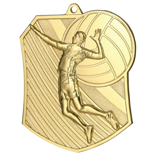 Złoty medal siatkówka MD8047/G – medal w kształcie wielokąta 79x67 mm z motywem zawodniczki zbijającej piłkę. Wykonany z metalu, grubość 2 mm. Idealna nagroda na turniej siatkówki i ligę szkolną.