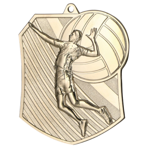 Srebrny medal siatkówka MD8047/S – medal w kształcie wielokąta 79x67 mm z motywem zawodniczki zbijającej piłkę. Wykonany z metalu, grubość 2 mm. Idealna nagroda na turniej siatkówki i ligę szkolną.