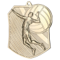 Srebrny medal siatkówka MD8047/S – medal w kształcie wielokąta 79x67 mm z motywem zawodniczki zbijającej piłkę. Wykonany z metalu, grubość 2 mm. Idealna nagroda na turniej siatkówki i ligę szkolną.