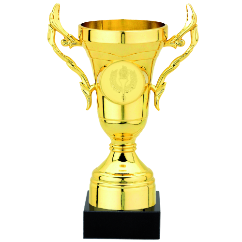 Puchar złoty Q505.01 – puchar z uchwytami, wys. 15,5 cm z czaszą śr. 6 cm na czarnej podstawie marmurowej. Wykonany z plastiku pokrytego złotą powłoką, miejsce na emblemat śr. 25 mm. Idealna nagroda na zawody sportowe i uroczystości.