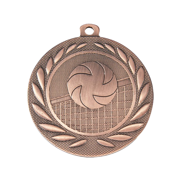 Medal DI5000.N siatkówka - brązowy