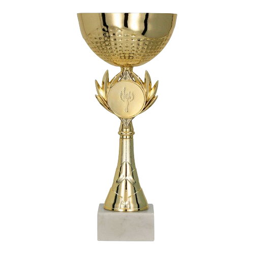 puchar_8342_złoty_trisport_tryumf.png